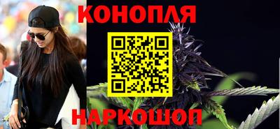 крисы Бузулук