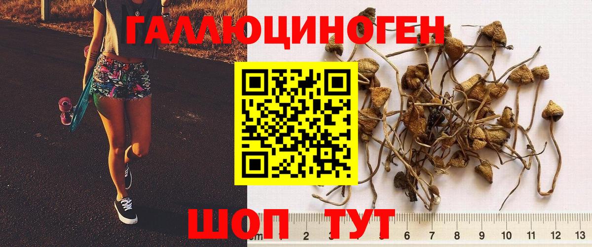Галлюциногенные грибы ЛСД Первоуральск