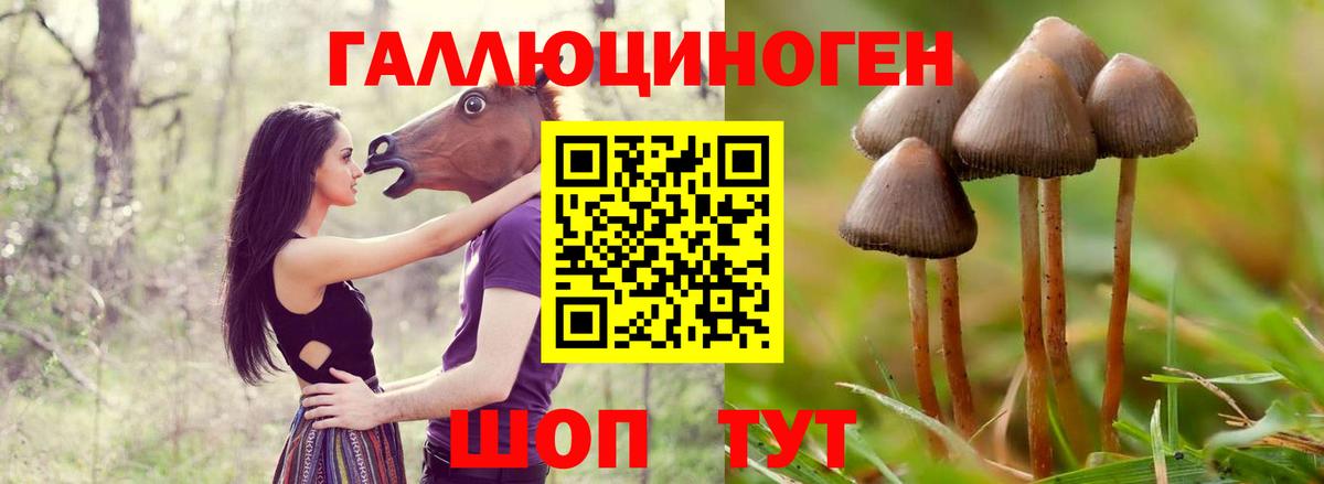 наркота  Вход с VPN  Первоуральск  Псилоцибиновые грибы GOLDEN TEACHER 